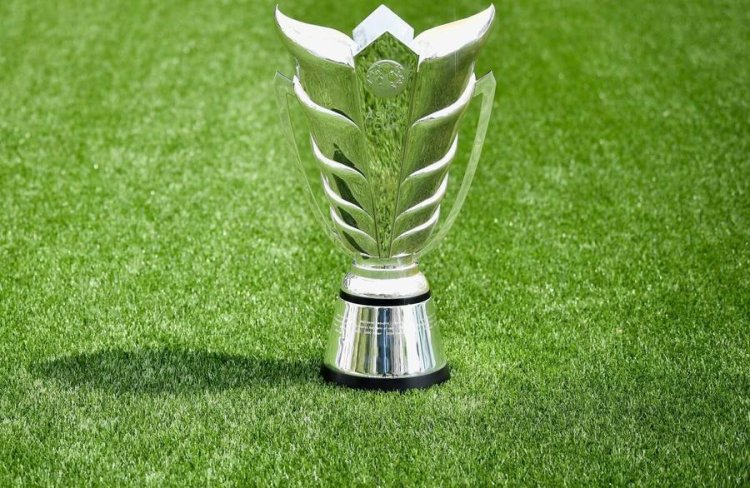 من بينها قطر.. 4 دول جاهزة لاستضافة كأس آسيا بدل الصين عام 2023
