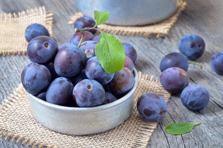 دراسة: الخوخ يمكن أن يجدد العظام