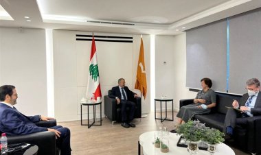 باسيل بحث مع المنسقة العامة للأمم المتحدة في لبنان مسألة ترسيم الحدود والاستحقاقات الدستورية المقبلة