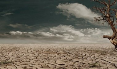 فرض قيود صارمة على استخدام المياه في لندن بسبب  موجة الجفاف